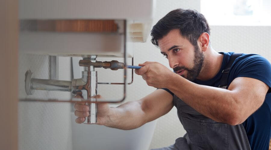 Trap Repair/Replacement in Glenoma, WA